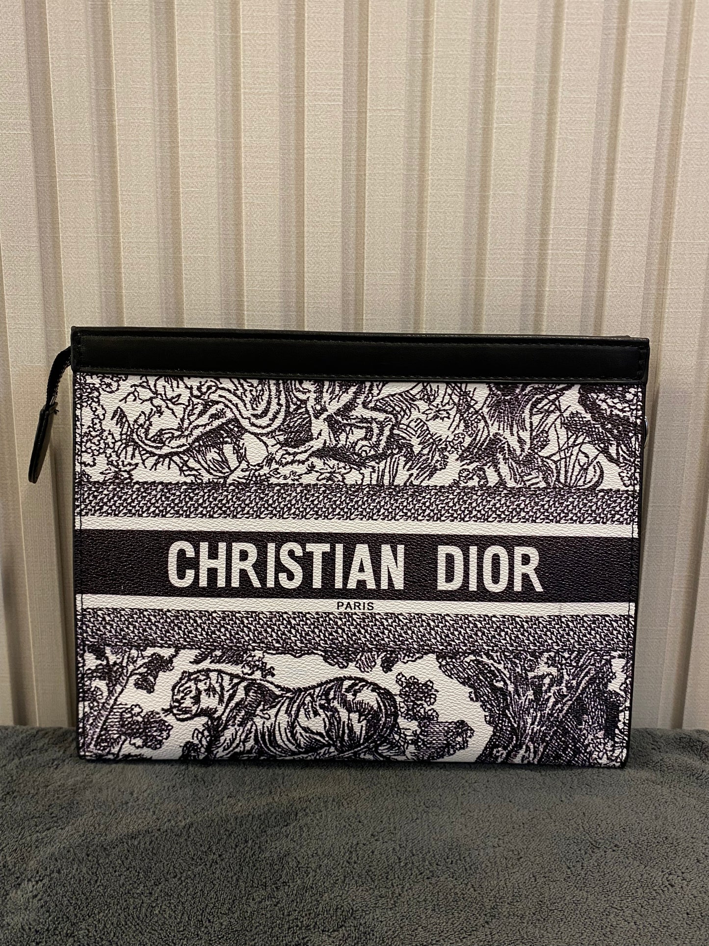 Ch dior 1