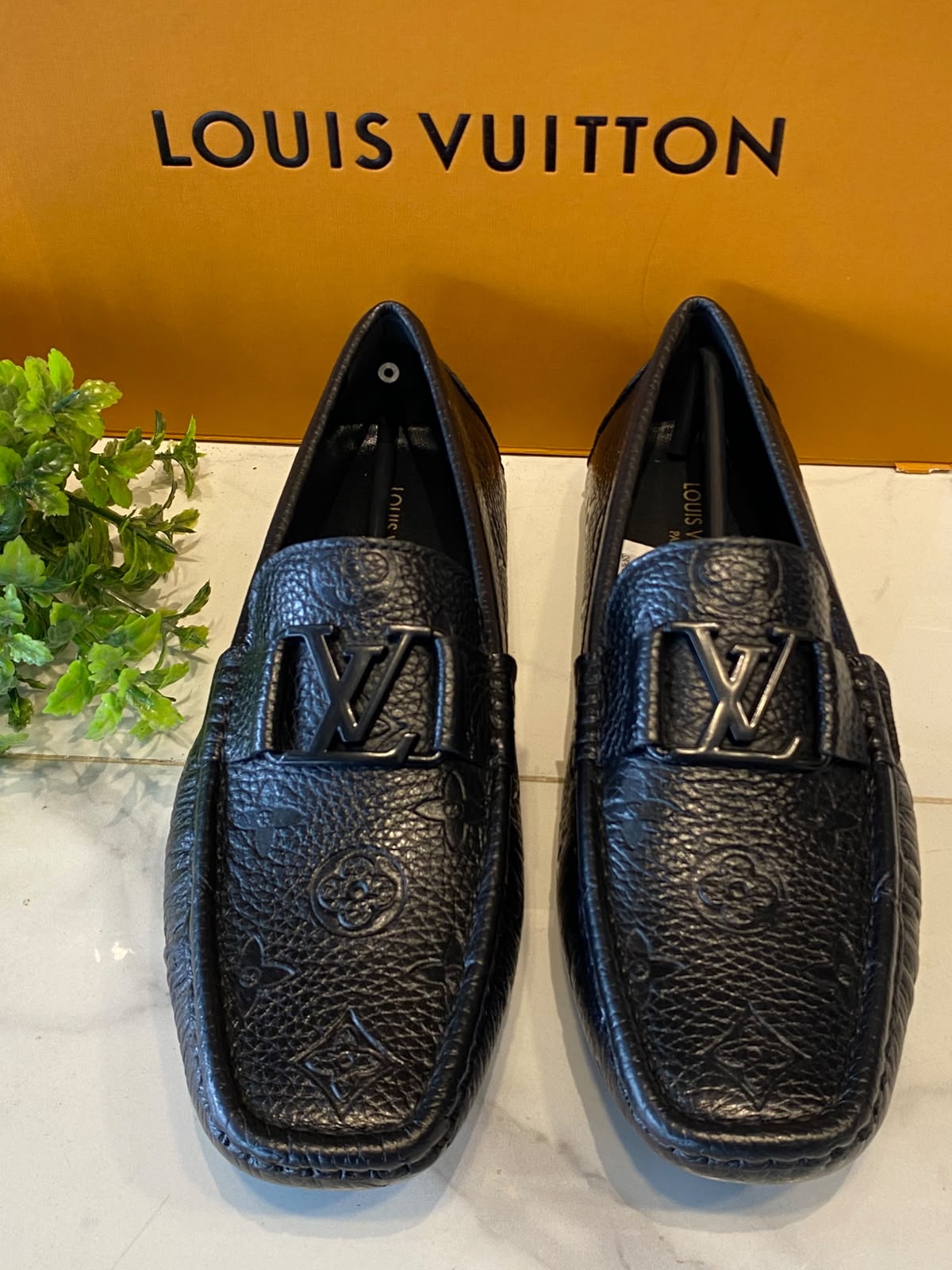 LV SP 1