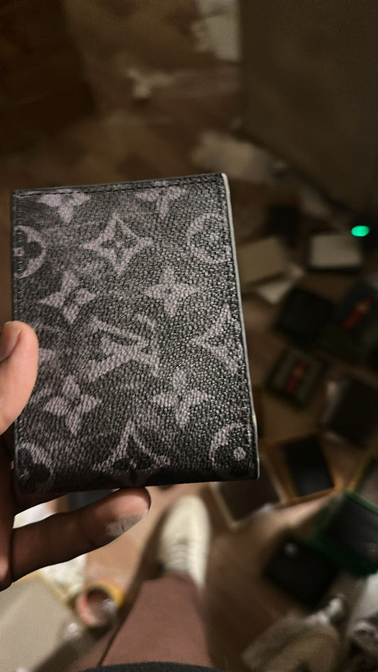 LV SW401x