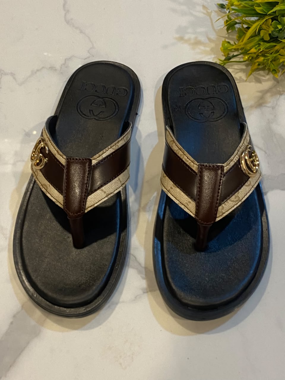 Gucci brown 313