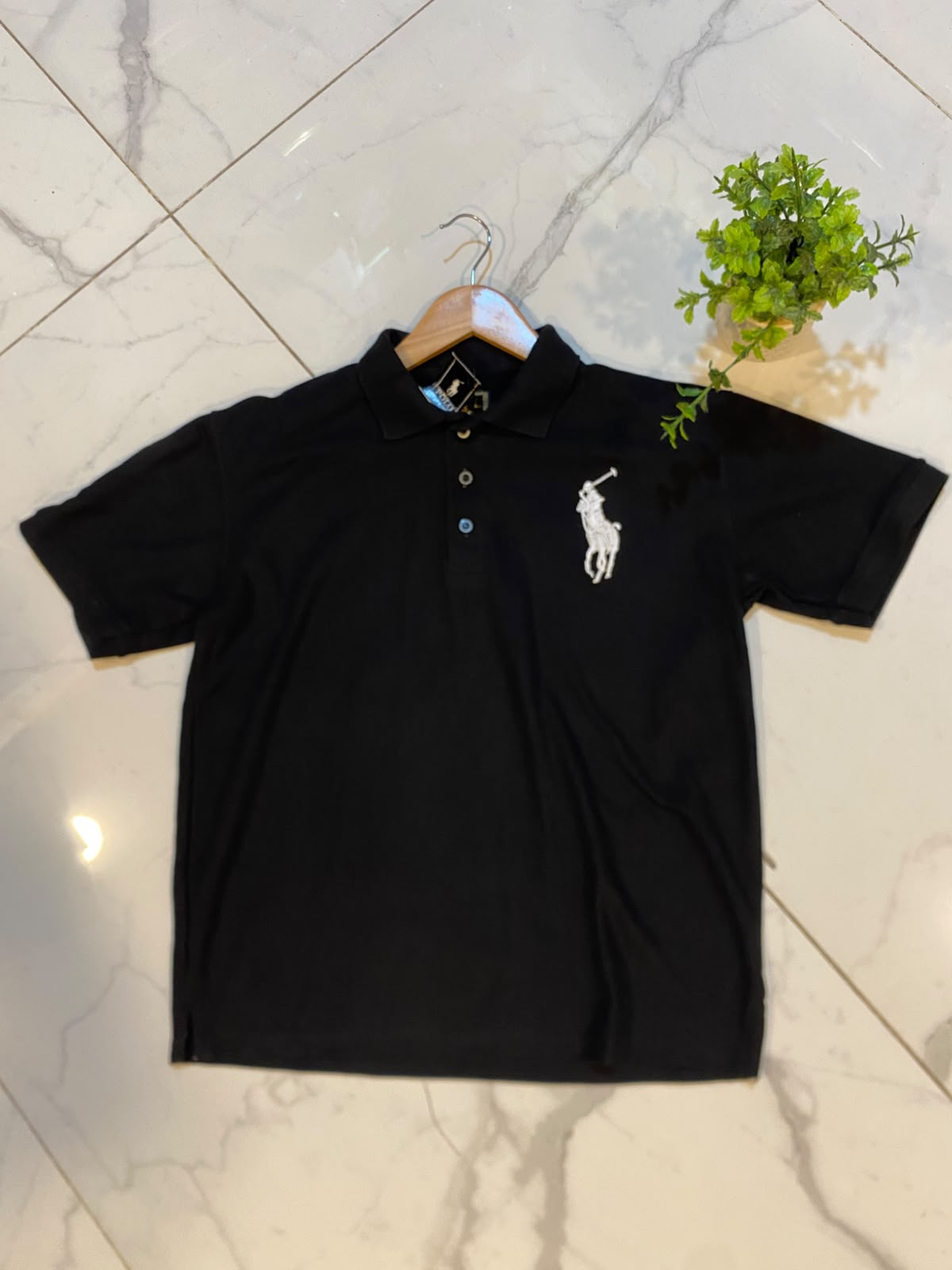Polo w.horse