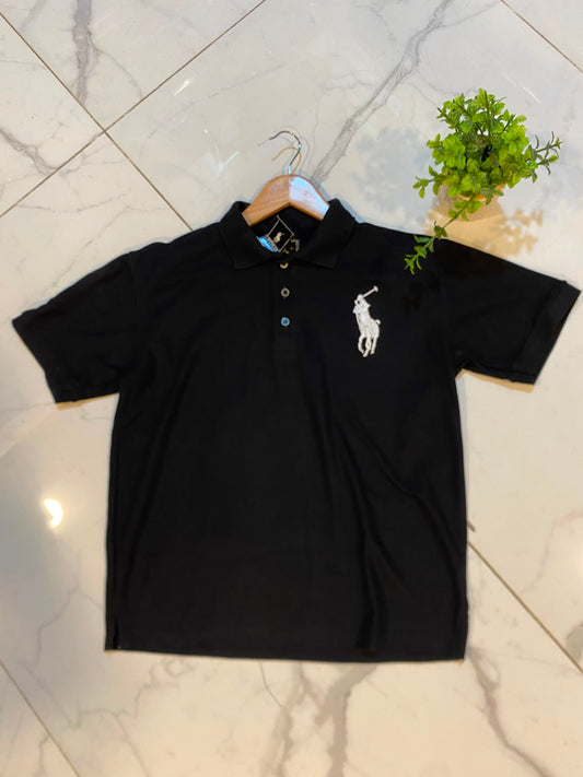 Polo w.horse