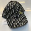 Dior d1 cap